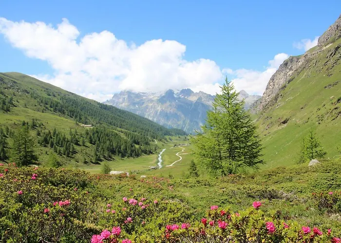 Sonne Fex Alpine Hideaway Hotel Sils Maria